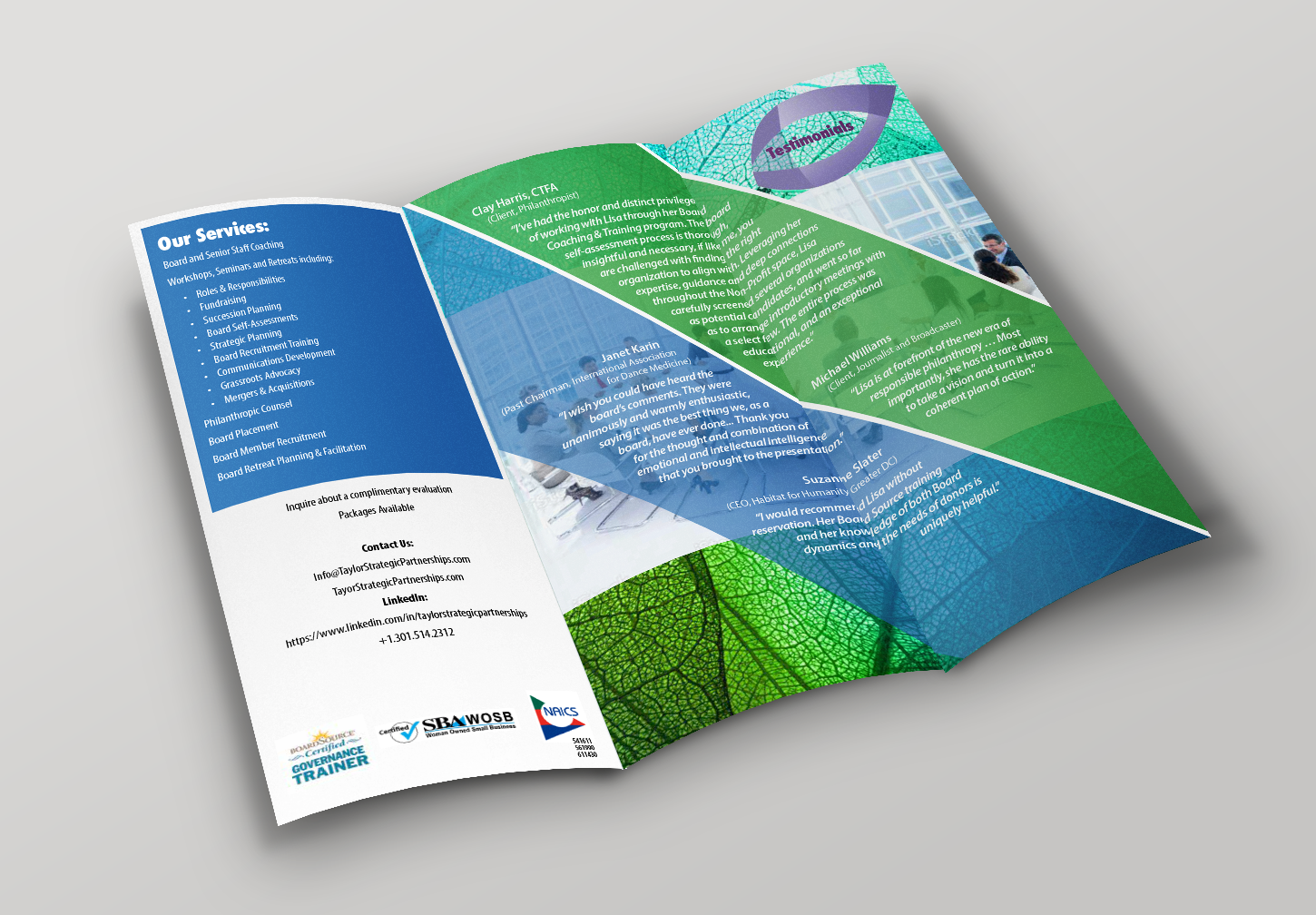 Flyer Design by bob 7 for Taylor Strategic Partnerships, LLC | Design #9861581