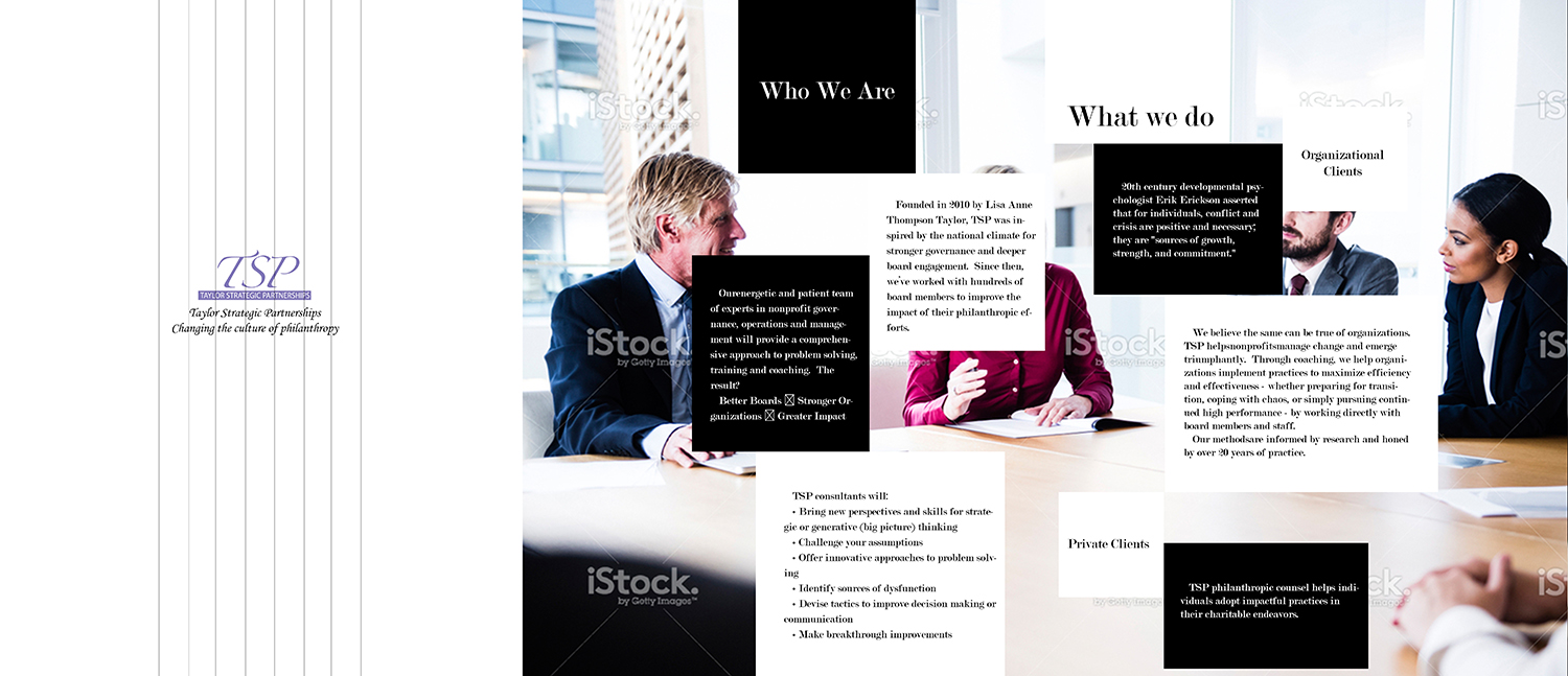 Flyer Design by Plastic for Taylor Strategic Partnerships, LLC | Design #9886154