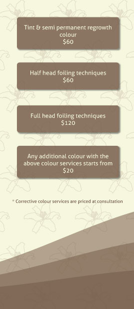 Design de Brochure par HLGCreativeTeam pour The Wisdom Within Hair and Wellness | Design : #2142182