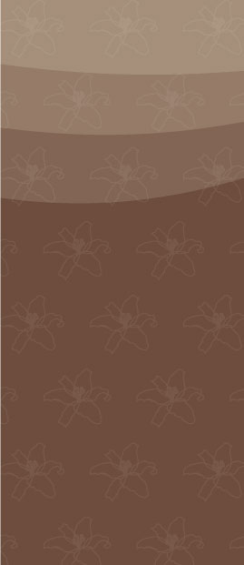 Brochure Design by HLGCreativeTeam for The Wisdom Within Hair and Wellness | Design #2142185