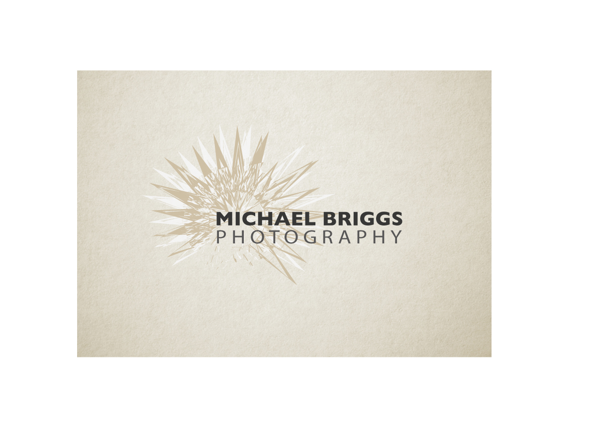 Logo Design by A.D for Michael Briggs Photography | Design #2128738