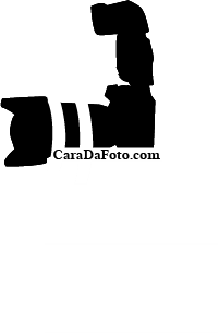 Logo Design by TW9