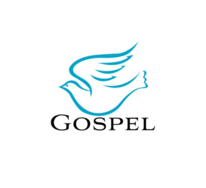 Logo Design by Designer Valley