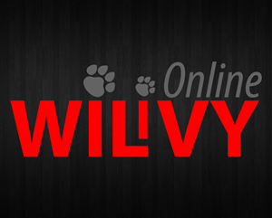Diseño de Logo por Adrian para Wilivy Online | Diseño #2126547