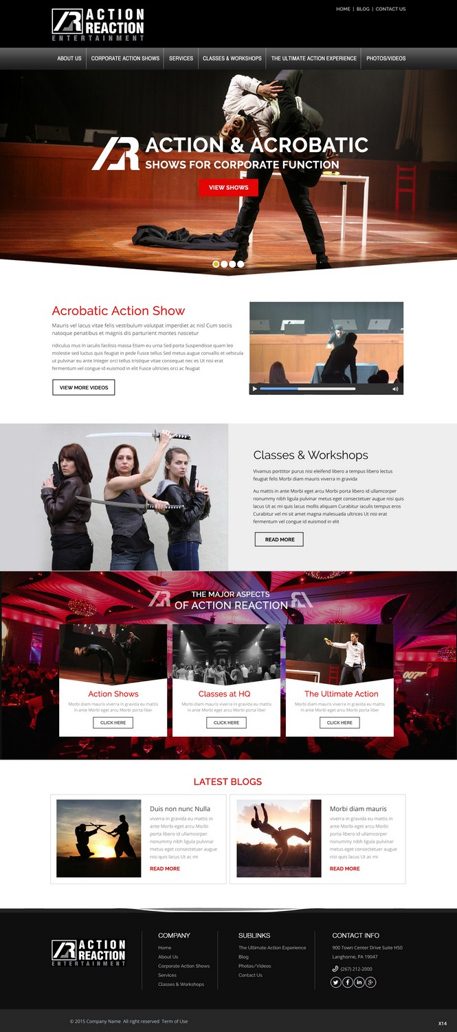 Web Design by pb for Action Reaction Entertainment | Design #9979543