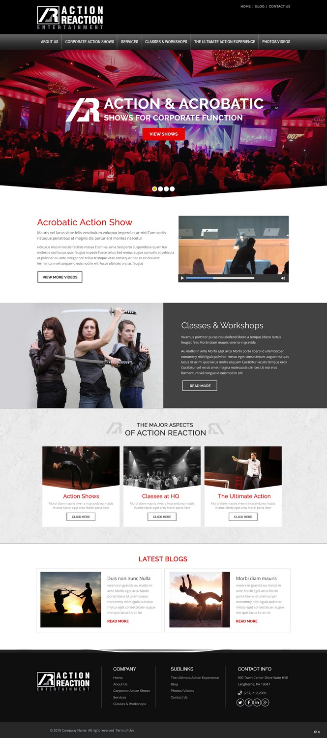 Web Design by pb for Action Reaction Entertainment | Design #9979544