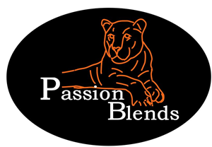 Logo Design by AlexKish