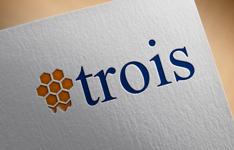 Design de Logo par MD Alamgir Hussain pour Trois Inc | Design #9847644