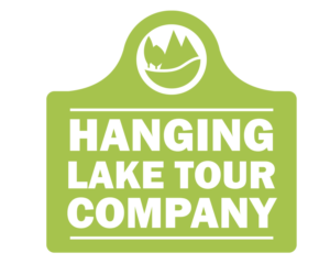 Logo Design by Freelas