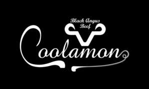 Logo Design by ssamqureshi684