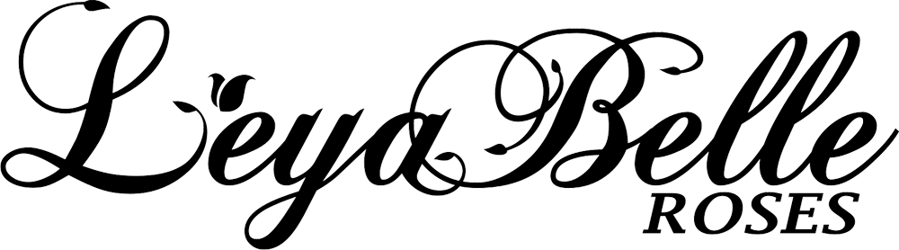 Logo Design by dab iraone for this project | Design #10306262
