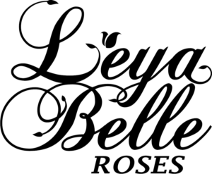 Logo Design by dab iraone for this project | Design: #10306290