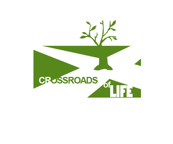 Logo Design by Karenchan for Wheeler Advertising | Design #2128637