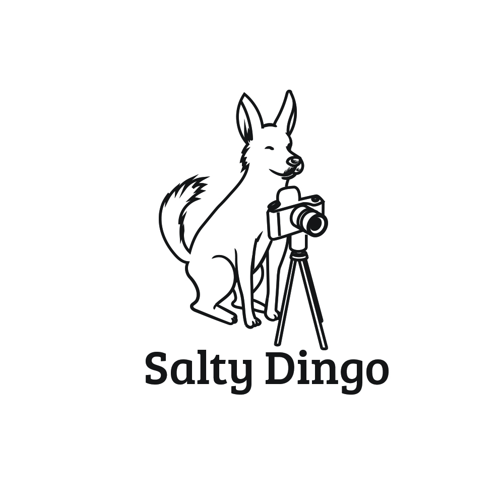 Design de Logo par Jodza pour Salty Dingo | Design #9851120
