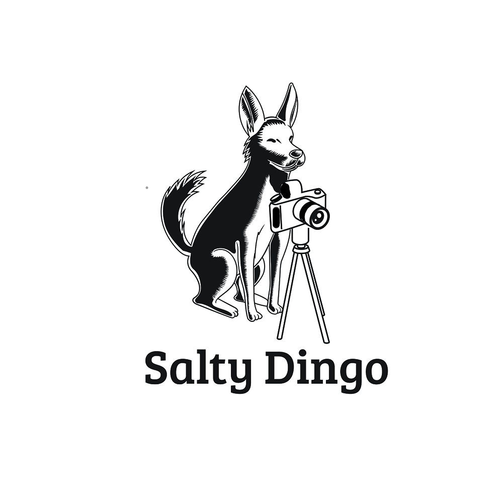 Logo Design by Jodza for Salty Dingo | Design #9851121