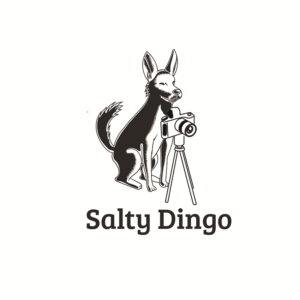 Logo Design by Jodza for Salty Dingo | Design: #9851121