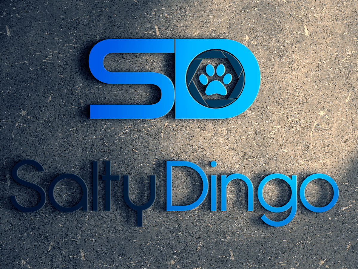 Logo Design by hassan for Salty Dingo | Design #9864785