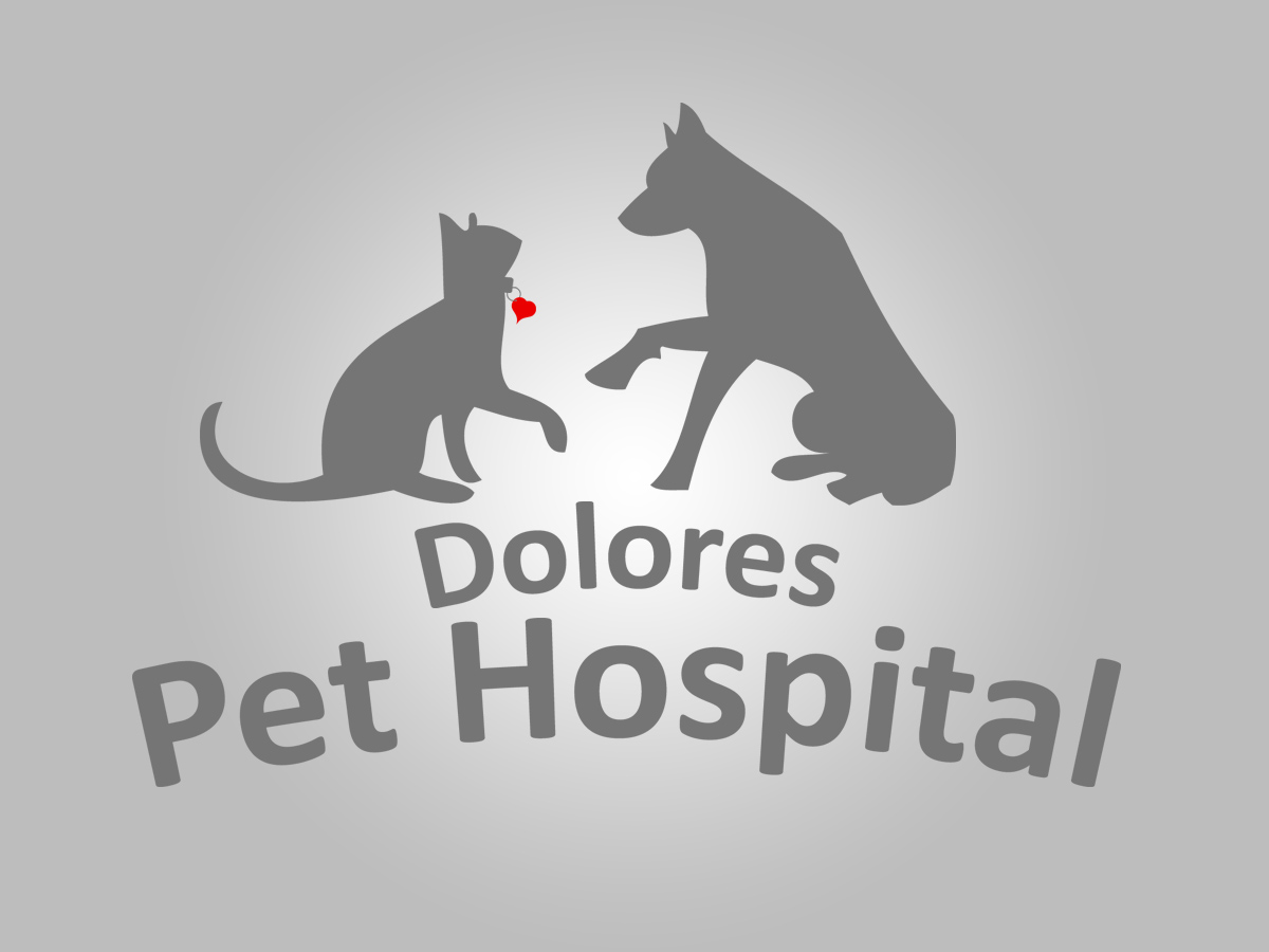 Logo Design by Ogden Designs for this project | Design #461375
