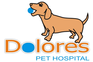Logo Design by bijuak for this project | Design: #459520