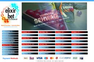 Web Design by Xtilez for this project | Design: #2193560