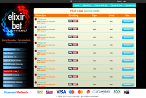 Web Design by Xtilez for this project | Design: #2195348