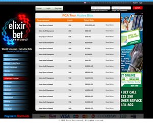 Web Design by Xtilez for this project | Design: #2200000