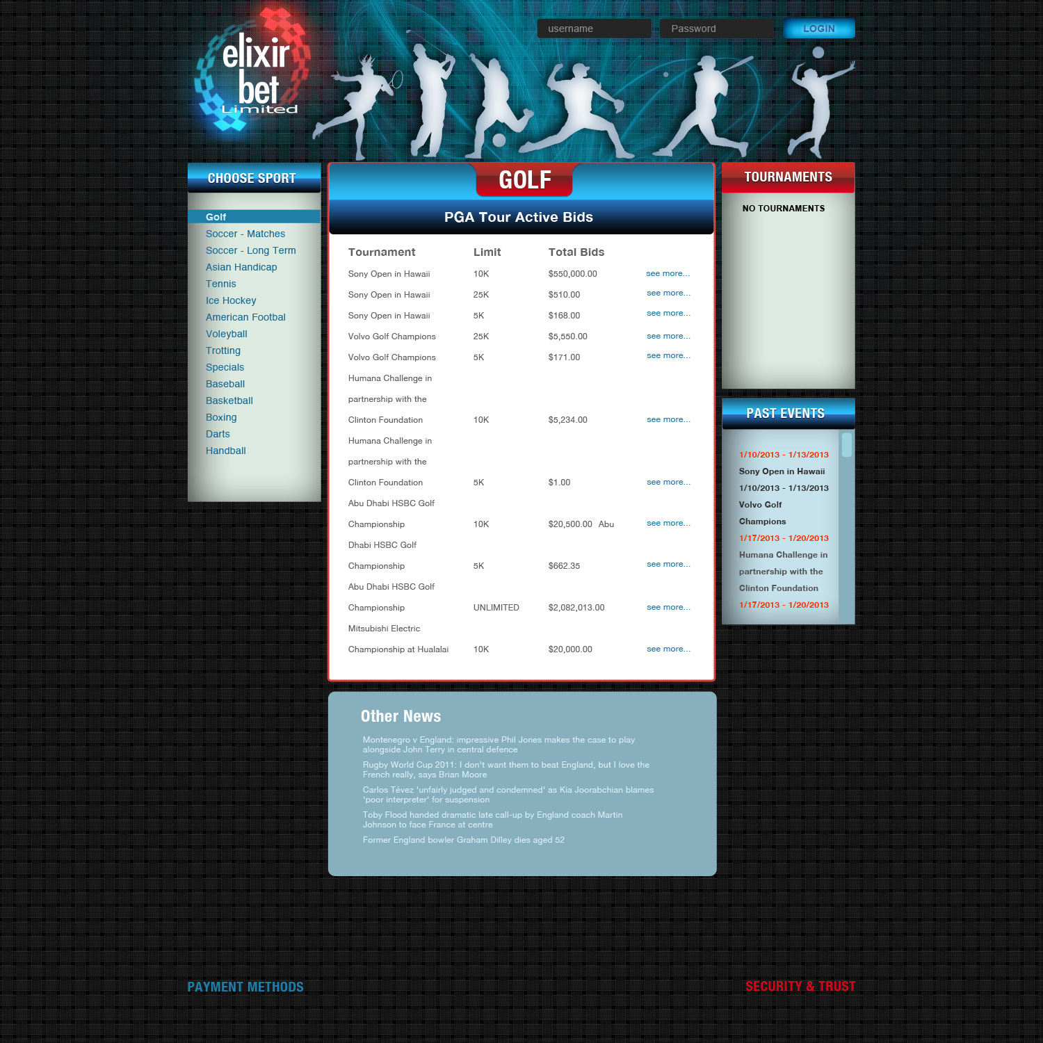 Web Design by artistraman for this project | Design #2152240