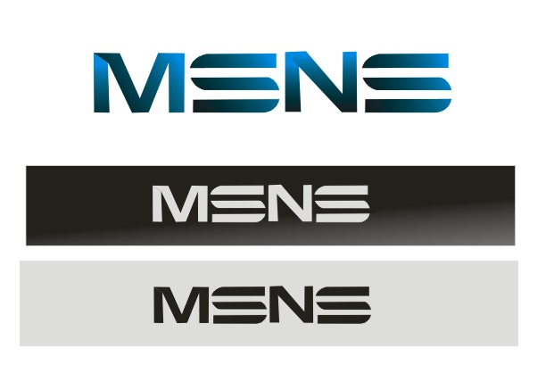 Logo Design by Apurwa for MSNS ENTERPRISES Inc. | Design #2136739