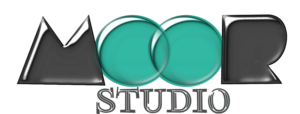 Logo Design by Hailey J. for this project | Design: #9975000
