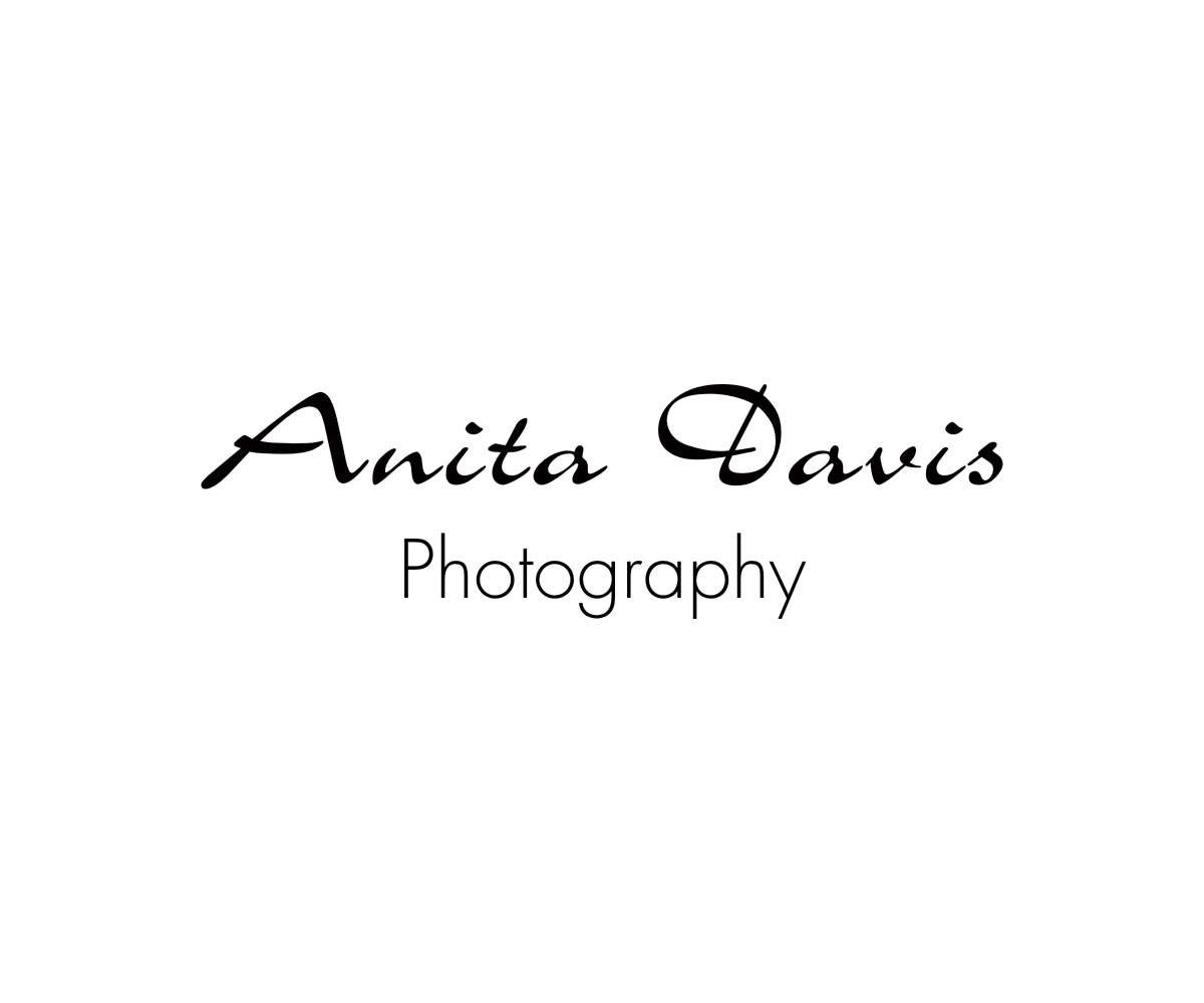 Design de Logo par Pritman pour Anita Davis Photography | Design #9856082