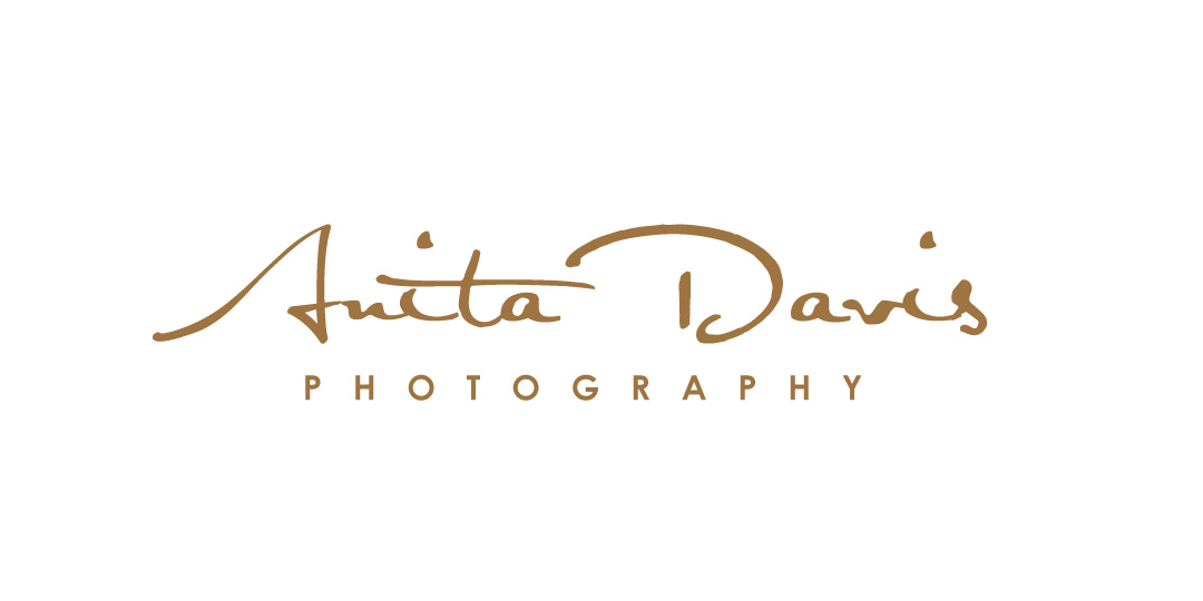 Logo Design by creative.bugs for Anita Davis Photography | Design #9844322