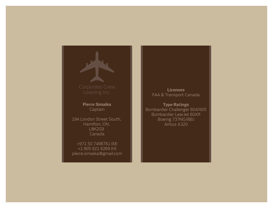 Business Card Design by lucasdanilas for this project | Design #443514