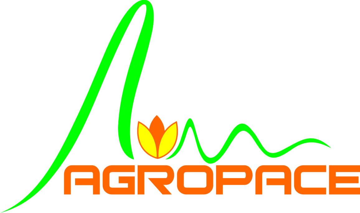 Letterhead Design by Sajal Samaddar for this project | Design #2164107