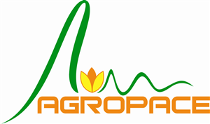 Letterhead Design Project | Letterhead Design by Sajal Samaddar