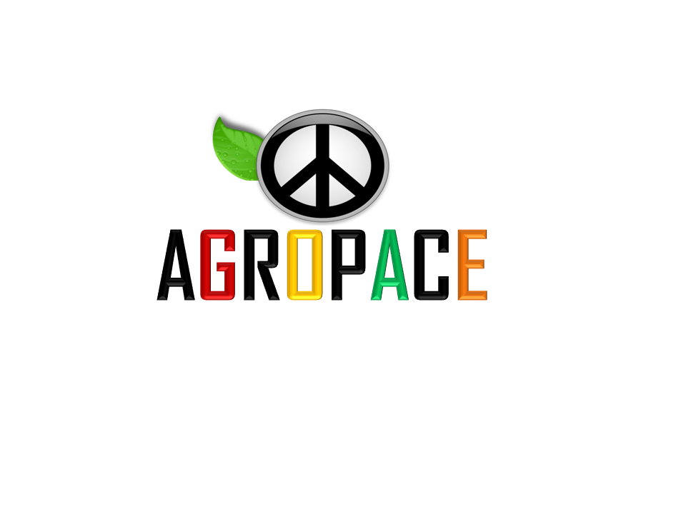 Letterhead Design by GCs Custom Graphics & Ts for this project | Design #2179365