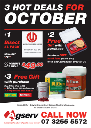 Flyer Design by Tony Walker Graphics Limited
