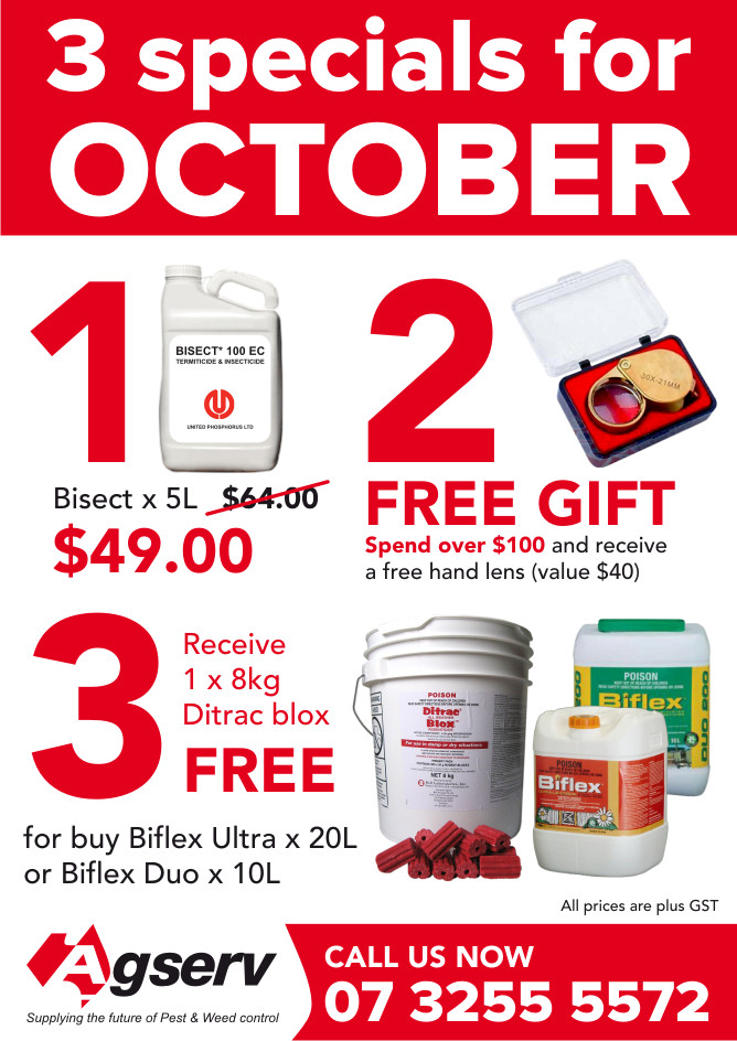 Flyer Design by Atvento Graphics for Agserv | Design #433795