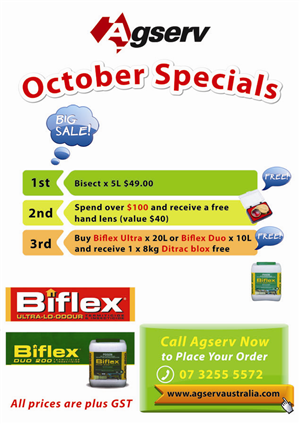 Flyer Design by WingLee