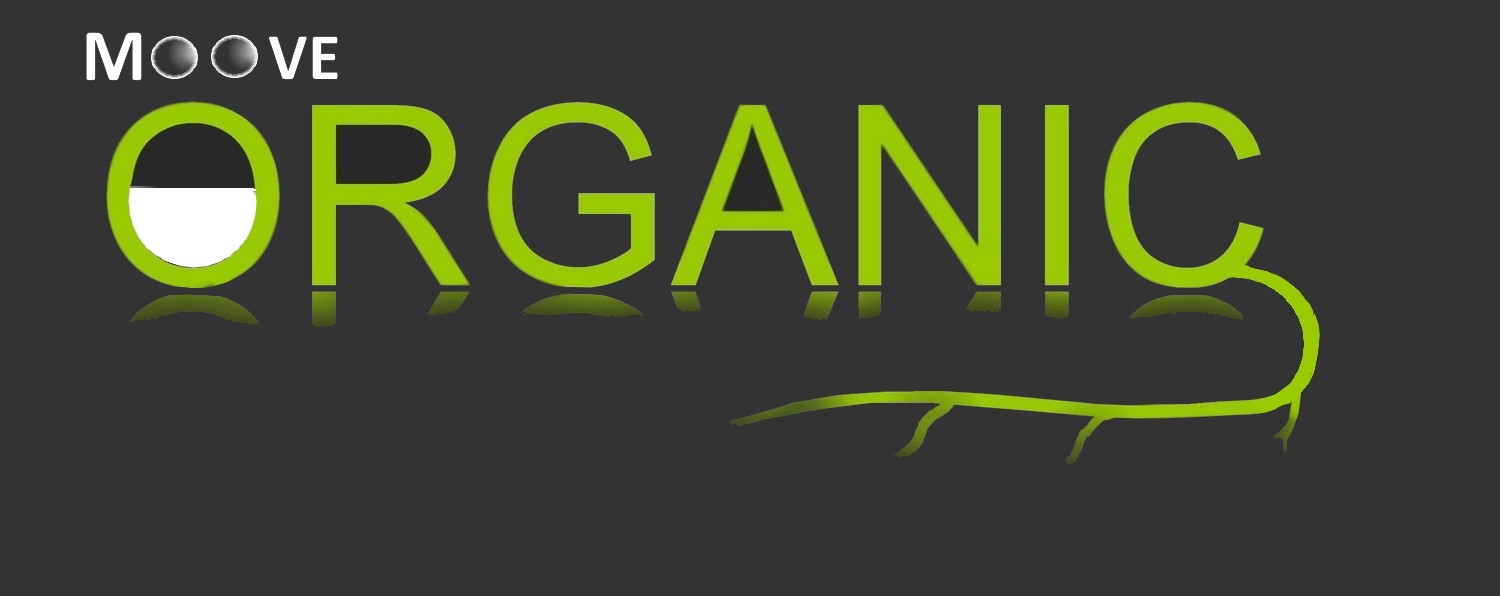 Logo-Design von designerone für dieses Projekt | Design #9857969