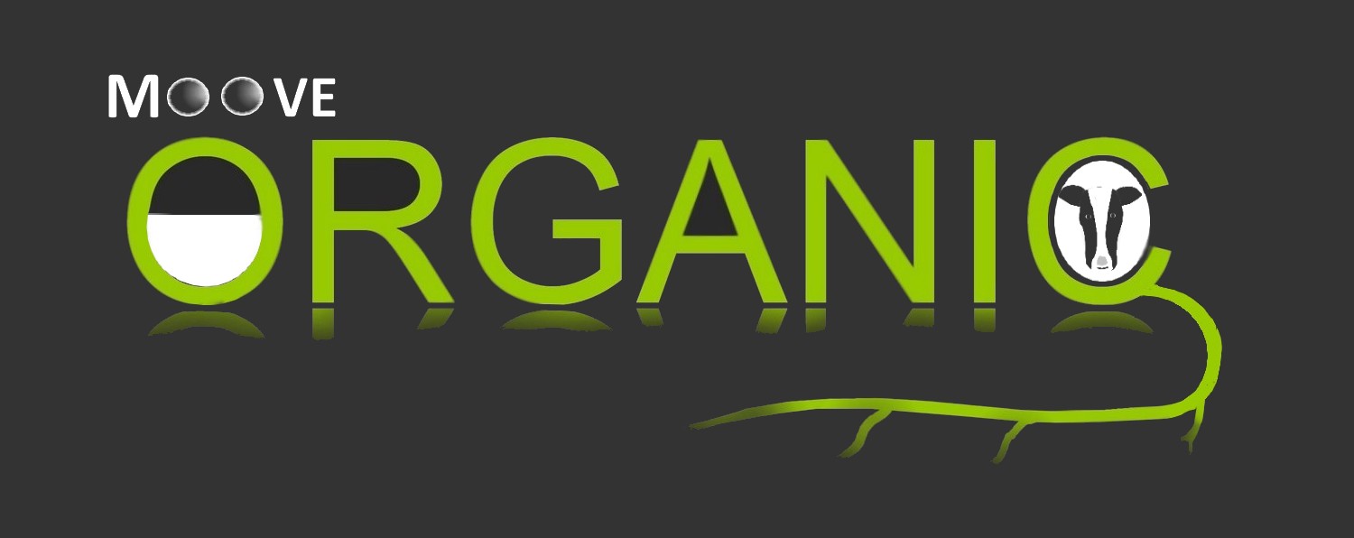 Design de Logo par designerone pour ce projet | Design #9859174