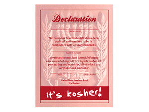 Poster Design by Grace A