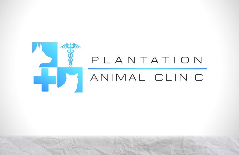 Logo Design by Florin for this project | Design #2136768