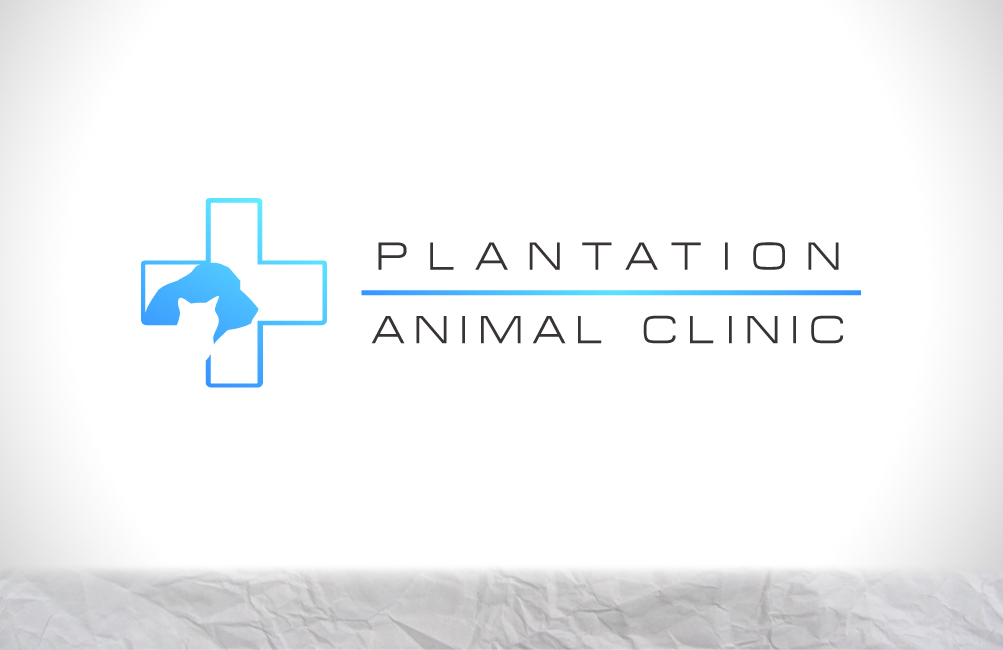 Design de Logo par Florin pour ce projet | Design #2136772