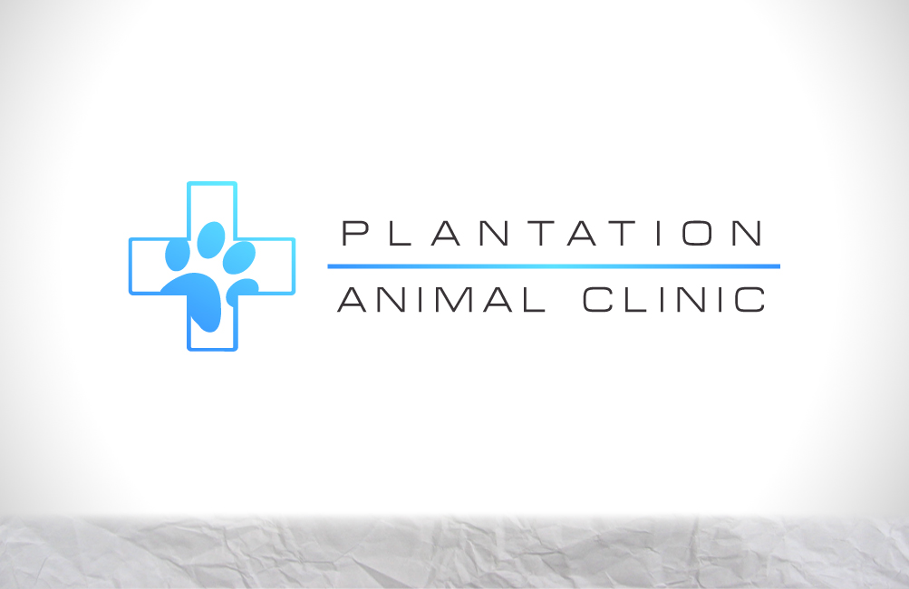 Logo Design by Florin for this project | Design #2136774