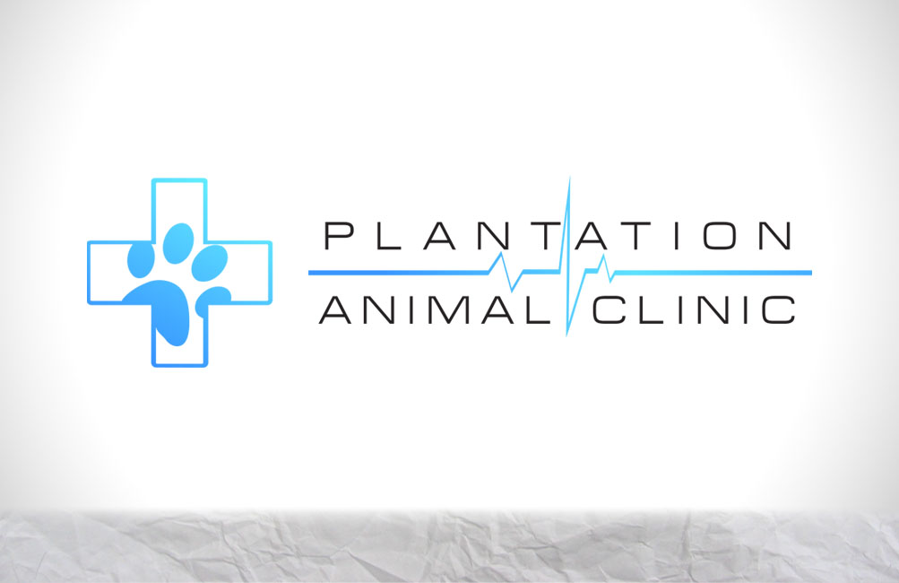 Logo Design by Florin for this project | Design #2164959
