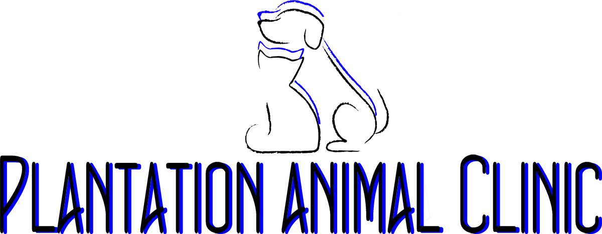 Logo Design by Divs for this project | Design #2168048