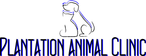 Logo Design by Divs