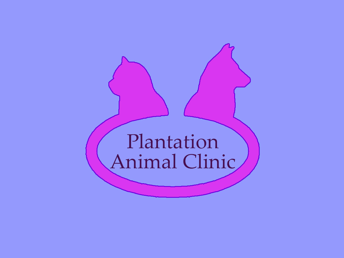 Design de Logo par rachel pour ce projet | Design #2134258