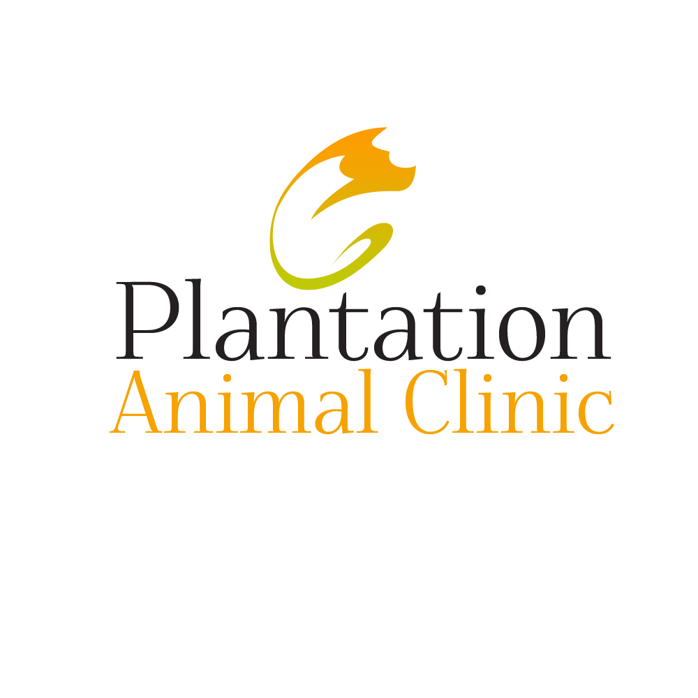 Design de Logo par saswebsolutions pour ce projet | Design #2138411