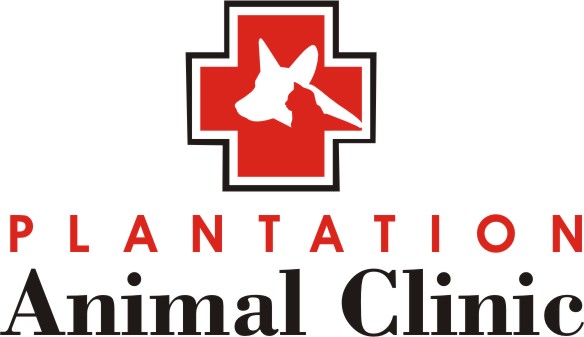 Logo Design by Actives for this project | Design #2126465